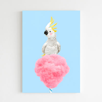 Cacatoès et sucrerie pastel