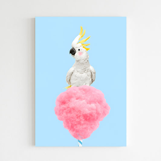 Cacatoès et sucrerie pastel