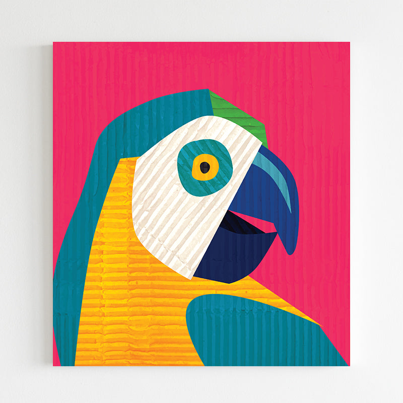 Parrot Face
