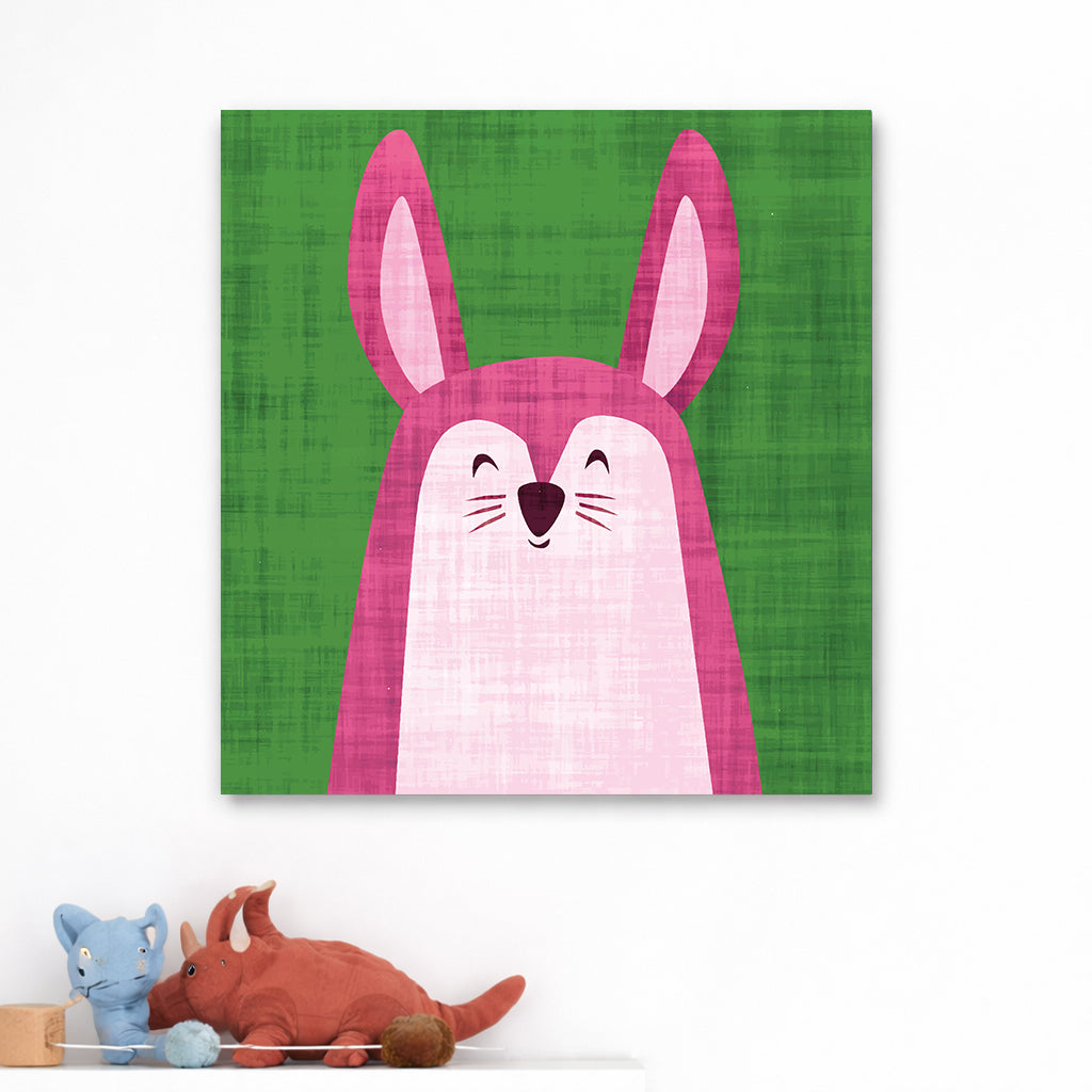 Rabbits Face